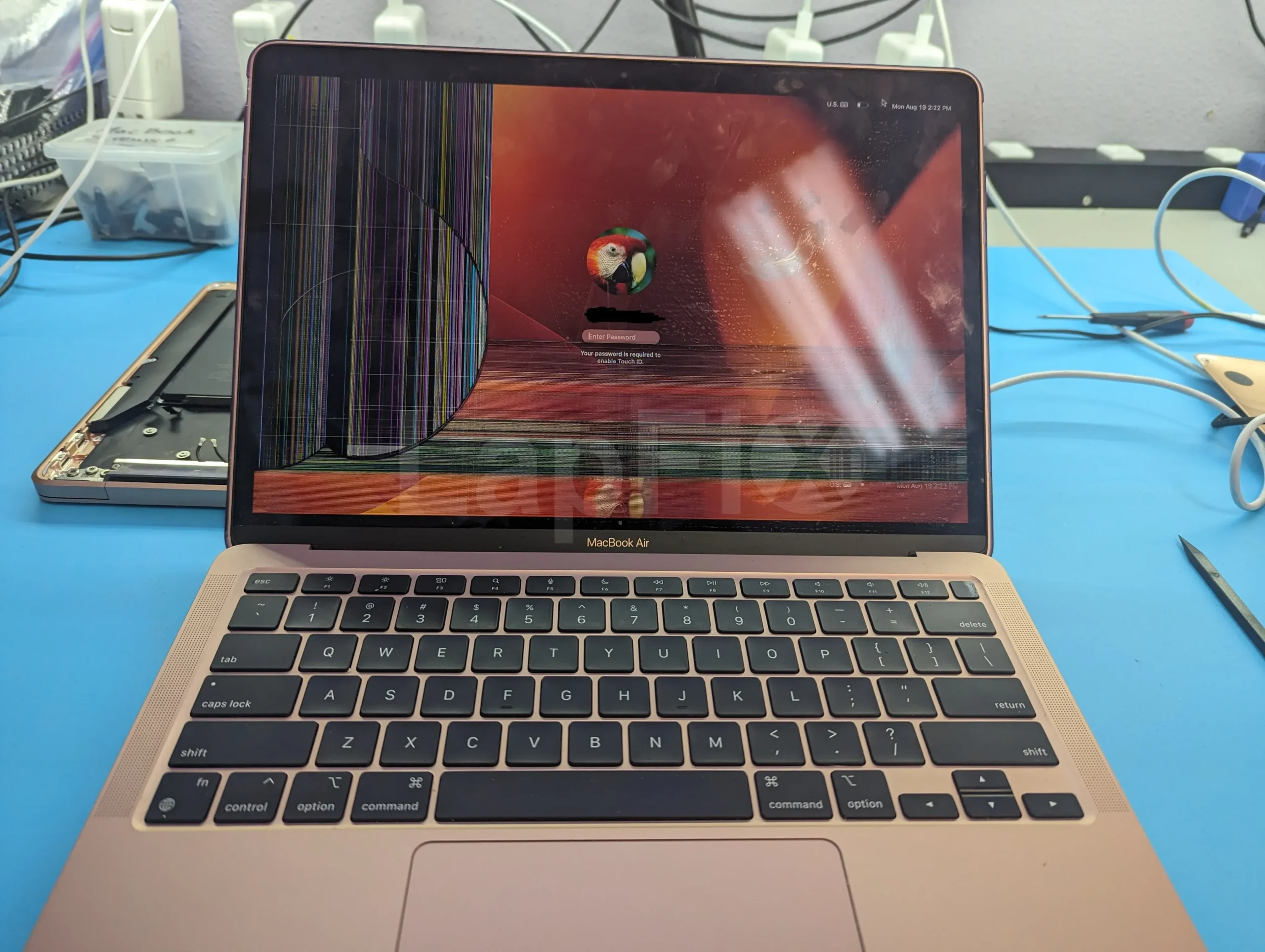 LapFix Diagnosis