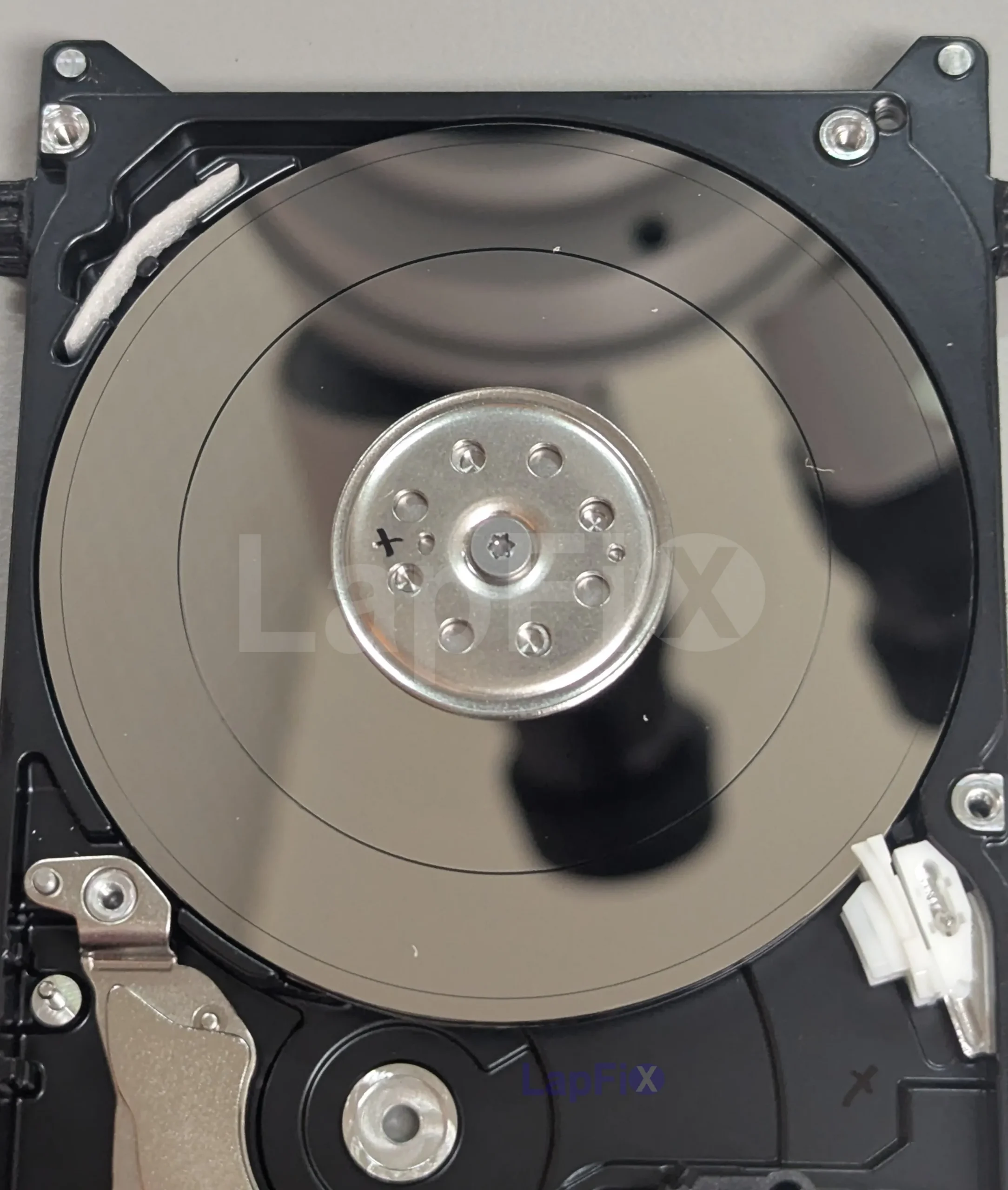 alexandria lapfix data recovery