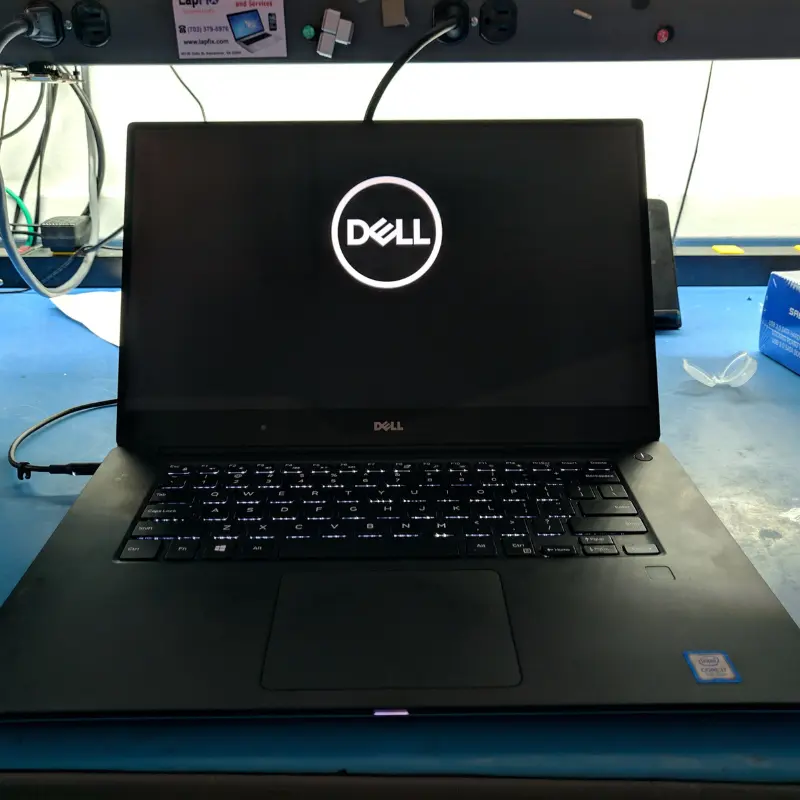 Virus and malware virus removal