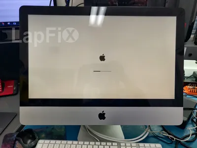 data recovery apple data recovery