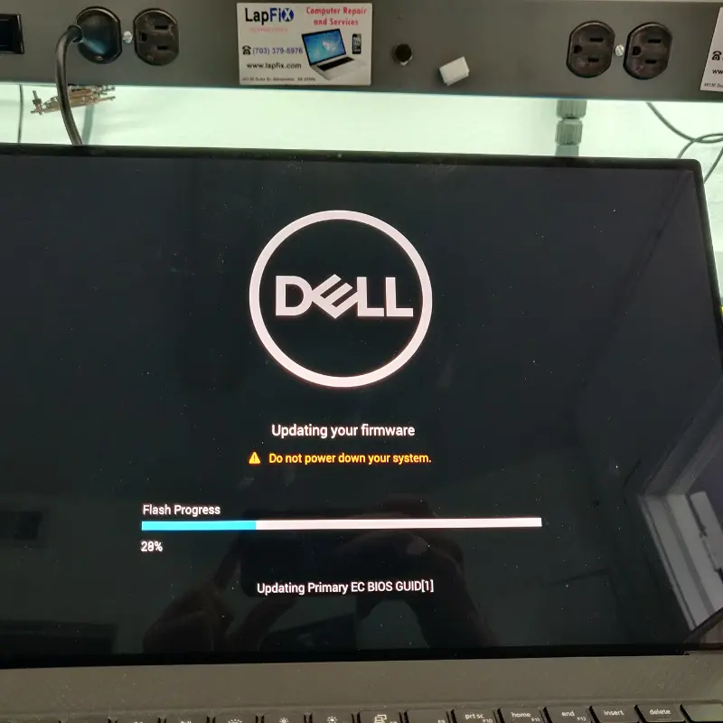 virus and malware Data recovery